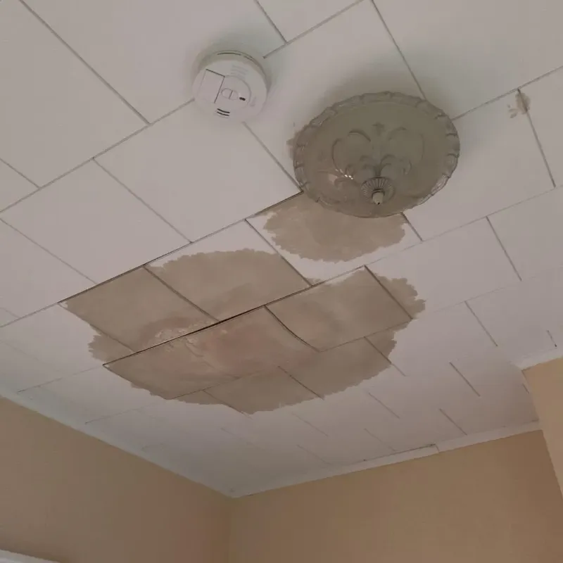 Ceiling Water Damage Repair in Roseland, CA
